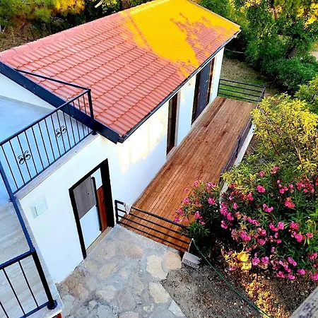 Mulberry House *