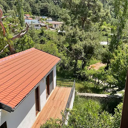 Mulberry House Holiday home